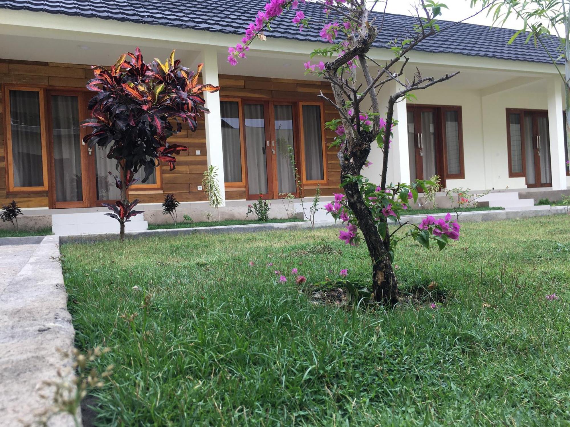 Green Rinjani Bayan Room photo